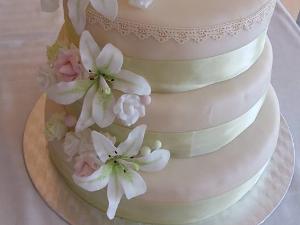 11855882_10205221632645810_784402404826947014_n